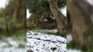 Images of winter