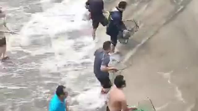 People catching the asian fish fantastic #shorts