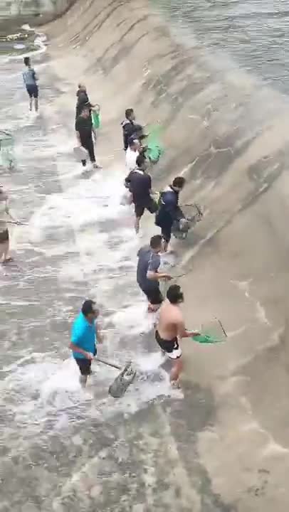 People catching the asian fish fantastic #shorts