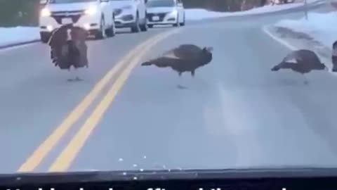 Leadership is A Responsibility #shorts #shortvideo #video #virals #videoviral