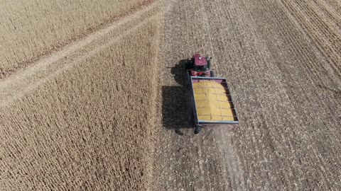 Following grain cart