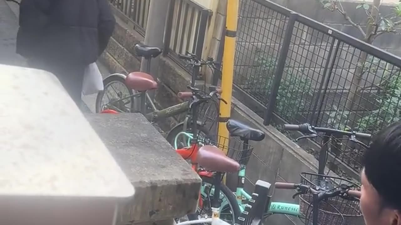 Me and my neighbor's daily life in Japan...