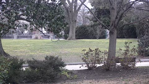 0679USCG00SEDriveExit_2021-01-06_09h10min52s217ms.mp4