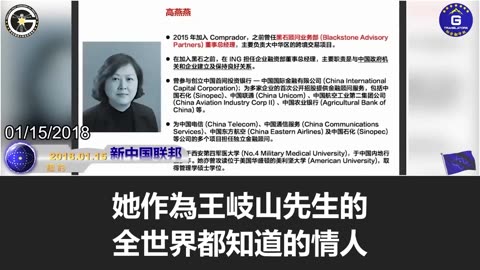 【粵語配音】王岐山是中共盜國賊的典型，通過他控制的公司、銀行，將中國人的錢轉移、藏匿於海外，並對西方進行藍金黃