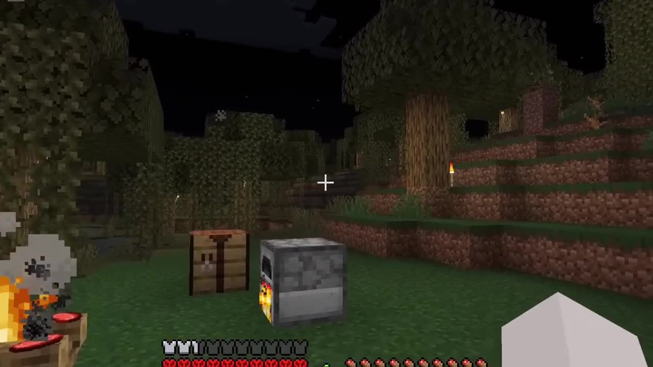 Transforming My Minecraft Swamp with Stunning Lights