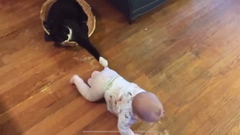 Funny Cat Won’t Let Baby Go