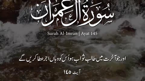 سورہ آل عمران Surah Aale Imran Important Translation