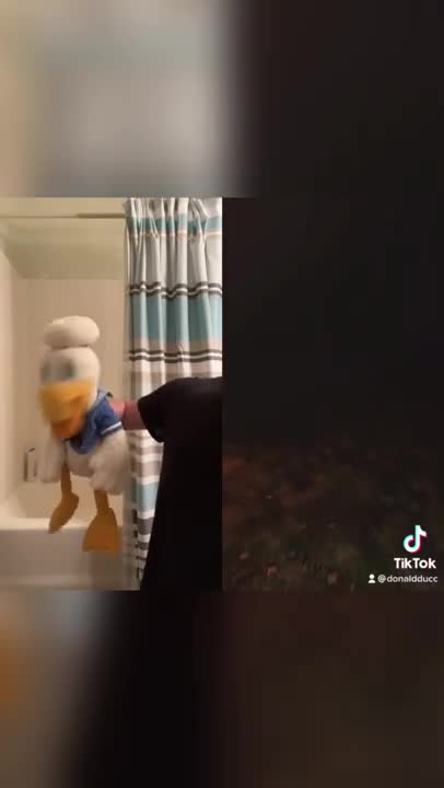 Donald Duck is a scaredy cat #shorts