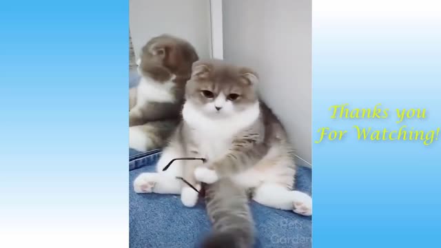 🔴🔴😱😱👉👉Cute Pets And Funny Animals Compilation #1