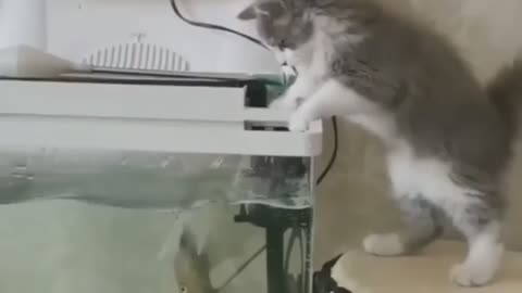 Fish say.. Don't touch me Else😆