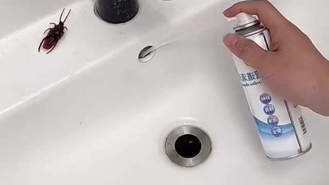 Satisfying Sewer Cleaner