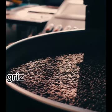 Just step into your winning season📝📱🌐 #motivation #success #motivationalvideo