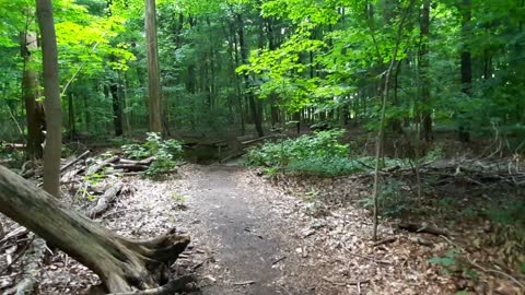 Nature trail