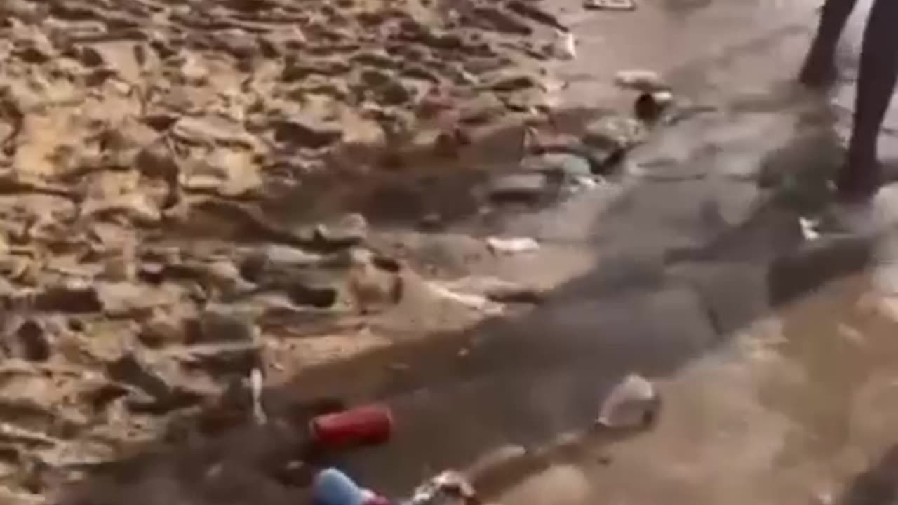 A video of the unpleasant situation on Belgian beaches