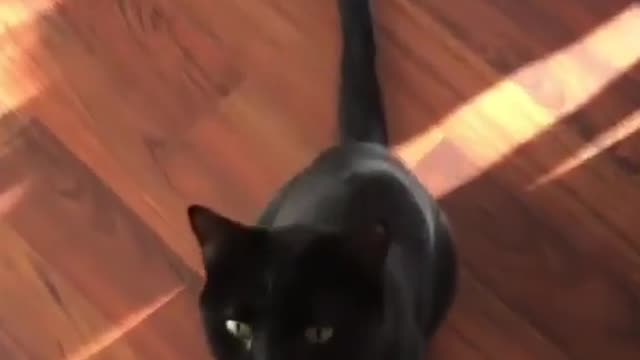 "Just couldn’t help myself 😅 Sound from @theholdernessfamily"