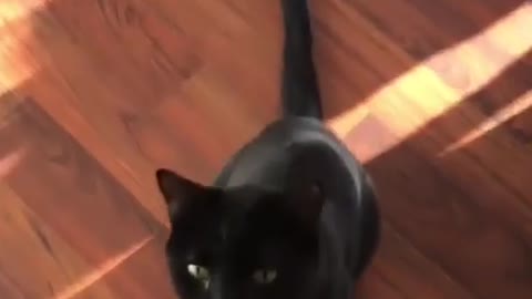 "Just couldn’t help myself 😅 Sound from @theholdernessfamily"