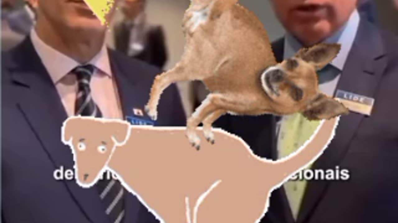 Zema e dória dois lixos da política