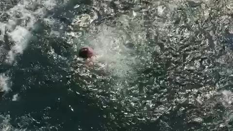 Guy white shirt drinks beer and jumps off cliff