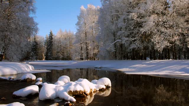 Nature Winter Snow