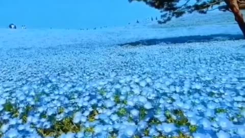 Somthing nice for a change