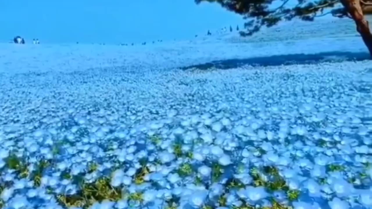 Somthing nice for a change