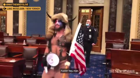 Capitol "Riot" is not what you think it was