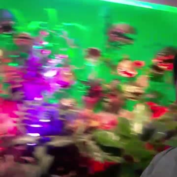 Selfie with pretty plants! Year 2. Part 60