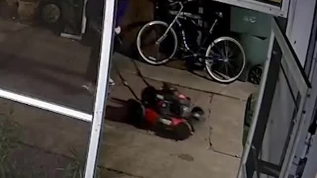 Suspected thief steals lawnmower and uses it to cut victim's grass.