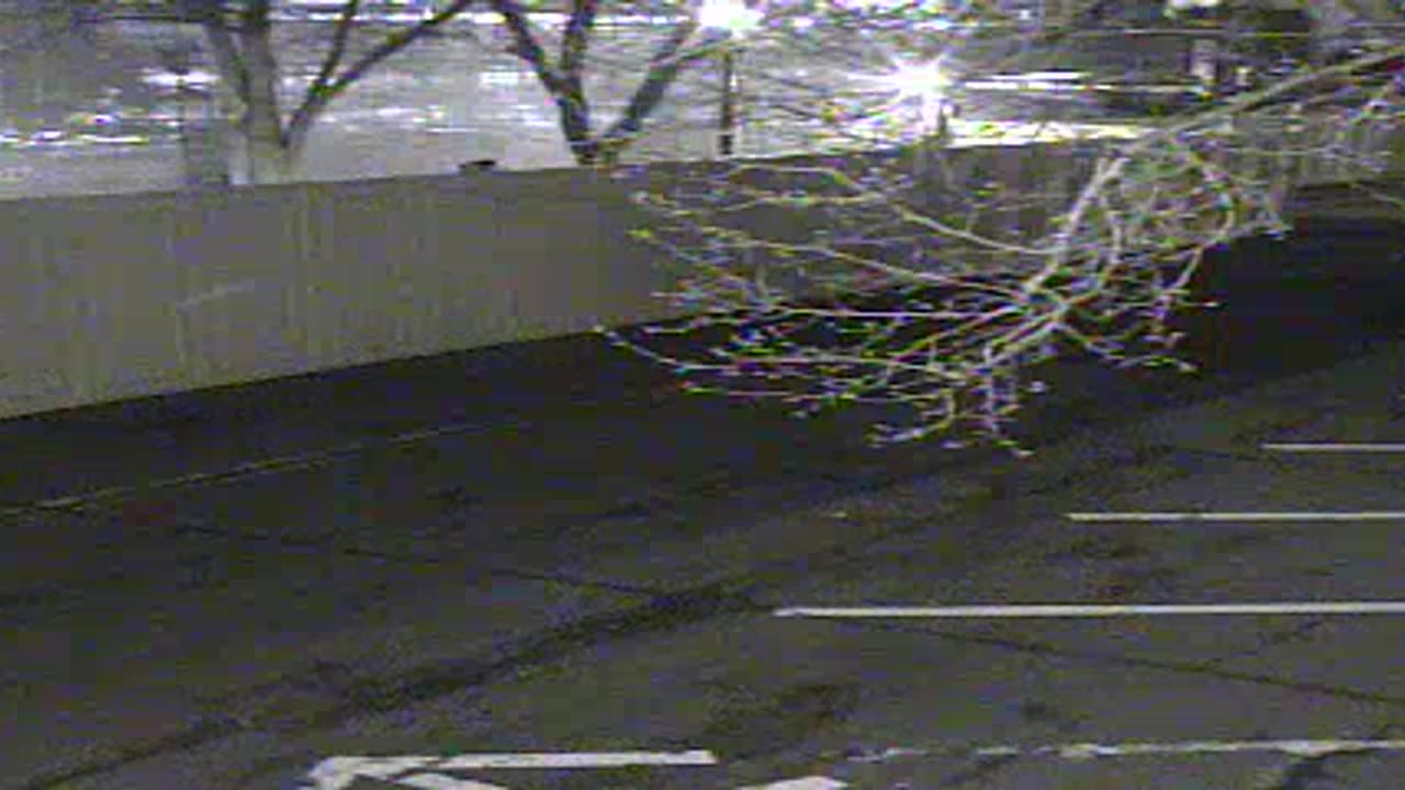 0692QNE001st-ConNE_2021-01-05_01h20min00s060ms.mp4