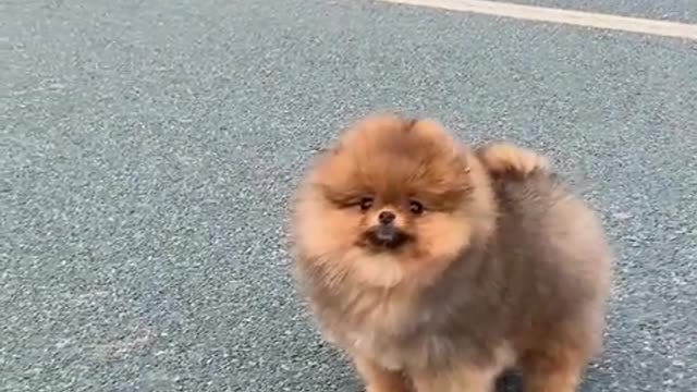 how cute