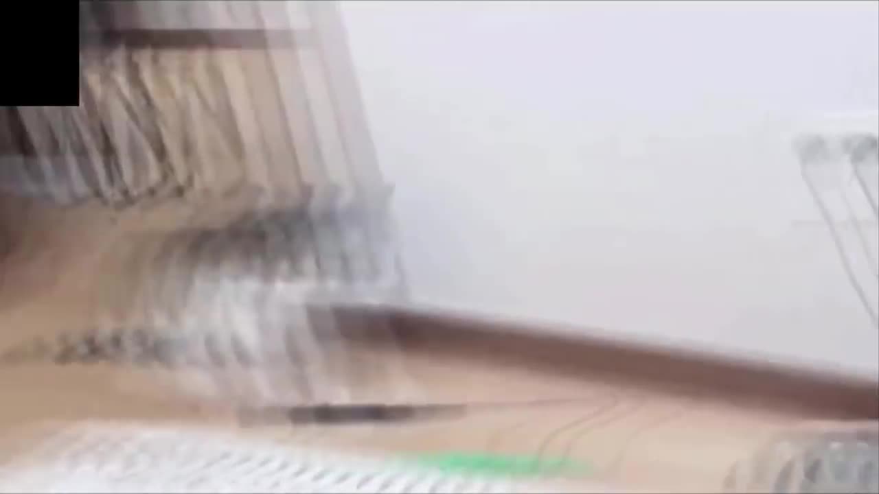 Try Not To Laugh. Watching Funny Animal. Grin While.