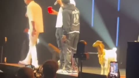 Kelvin hart calling will Smith a goat on stage alone side with Chris Rock and Dave chappel