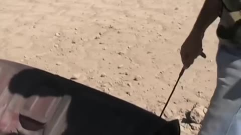 What Happens If You Through A Grenade On Truck Trunk. Must Watch