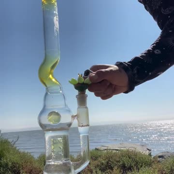 Who would you take here? 🦋🌊