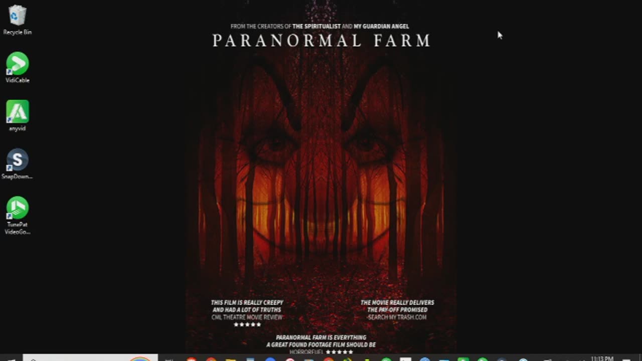 Paranormal Farm Review