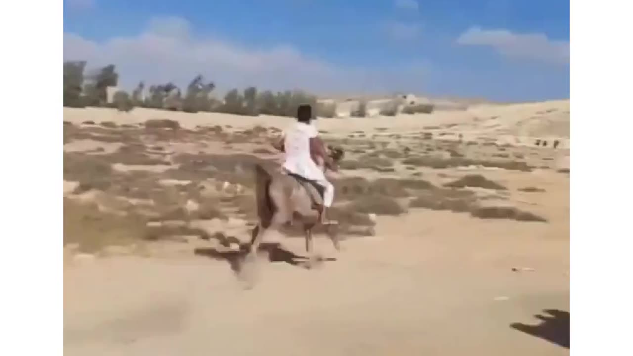 Horse ridding