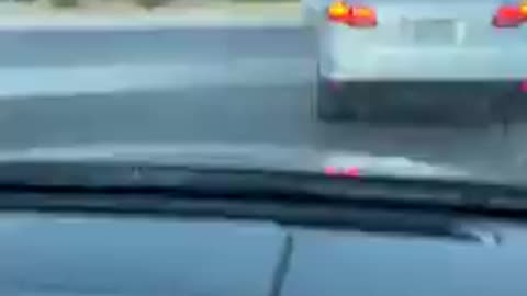 Why You Littering Throwing Trash Out The Window