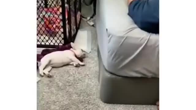 When Mom Comes to See Me if I Am Sleeping 😴😴