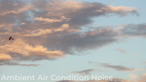 Air Condition Noice for Sleep | Air Condition Ambience | 1 Hour ASMR White Noise