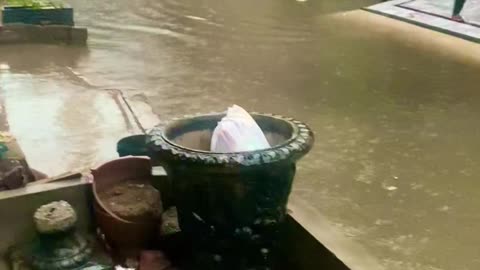 Punjab Government Ka Awam Ko Bara Releif Watch In HD Urdu/Hindi