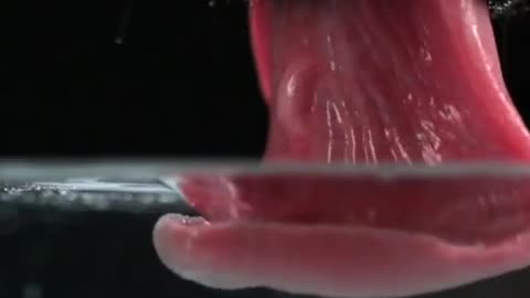 The video you always needed but never knew