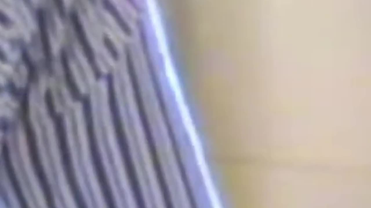1997 - RESSACA DA FESTA DE ANO NOVO NO SÍTIO - CLIPE 03