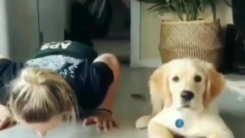 Imitation Yoga Dog #shorts #viral #shortsvideo #video