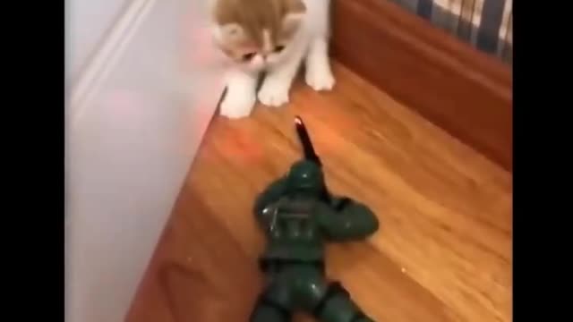 funny moments
