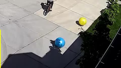 INSTANT KARMA 😂