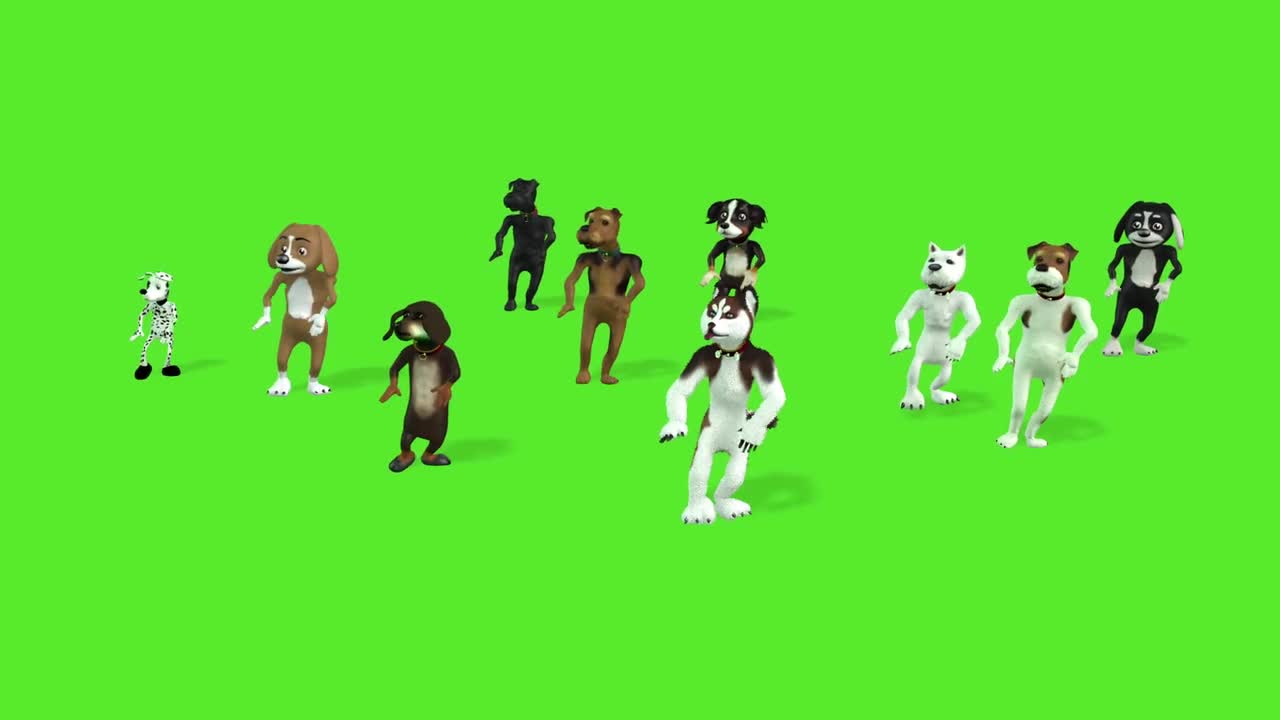 Cute group of dogs dancing in green background