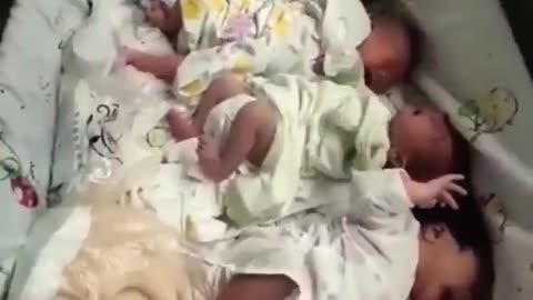 9 babies born by a 32 year old lady