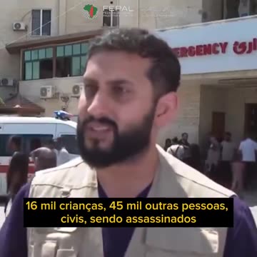 "O número de mortos em Gaza é 4, 5, 6 vezes maior do que está sendo dito.