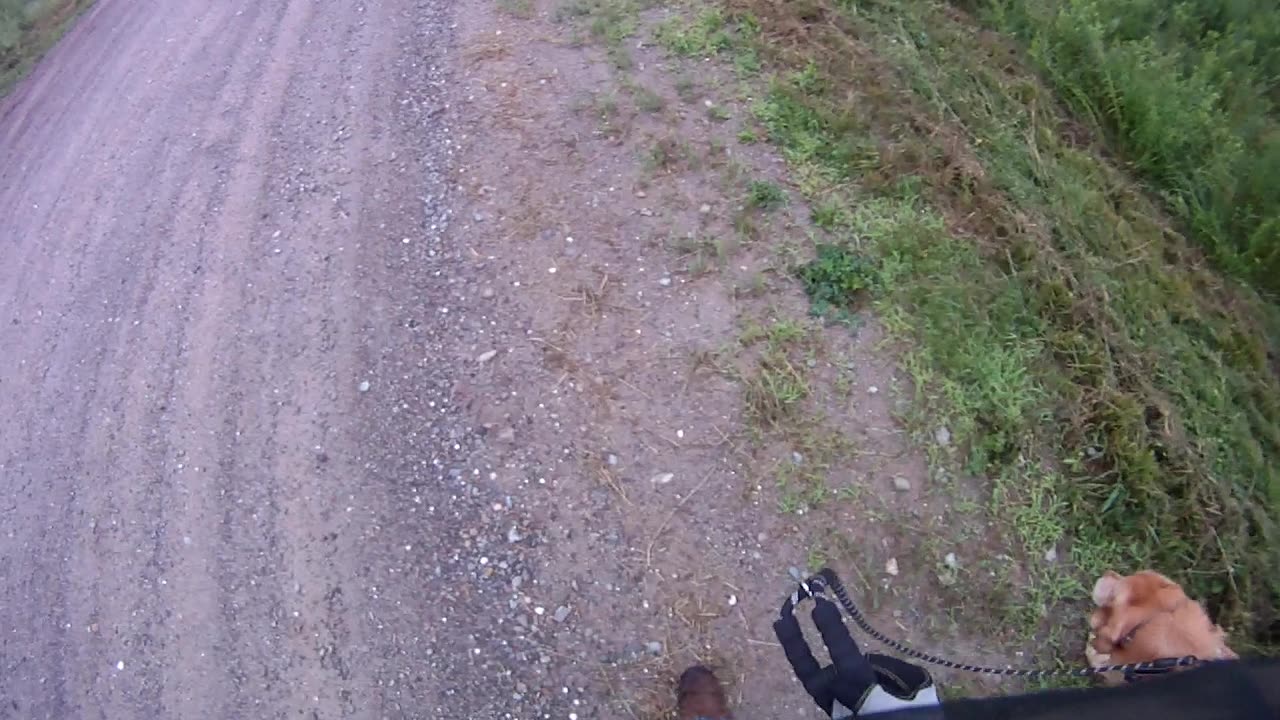 July 18th, 73º lores