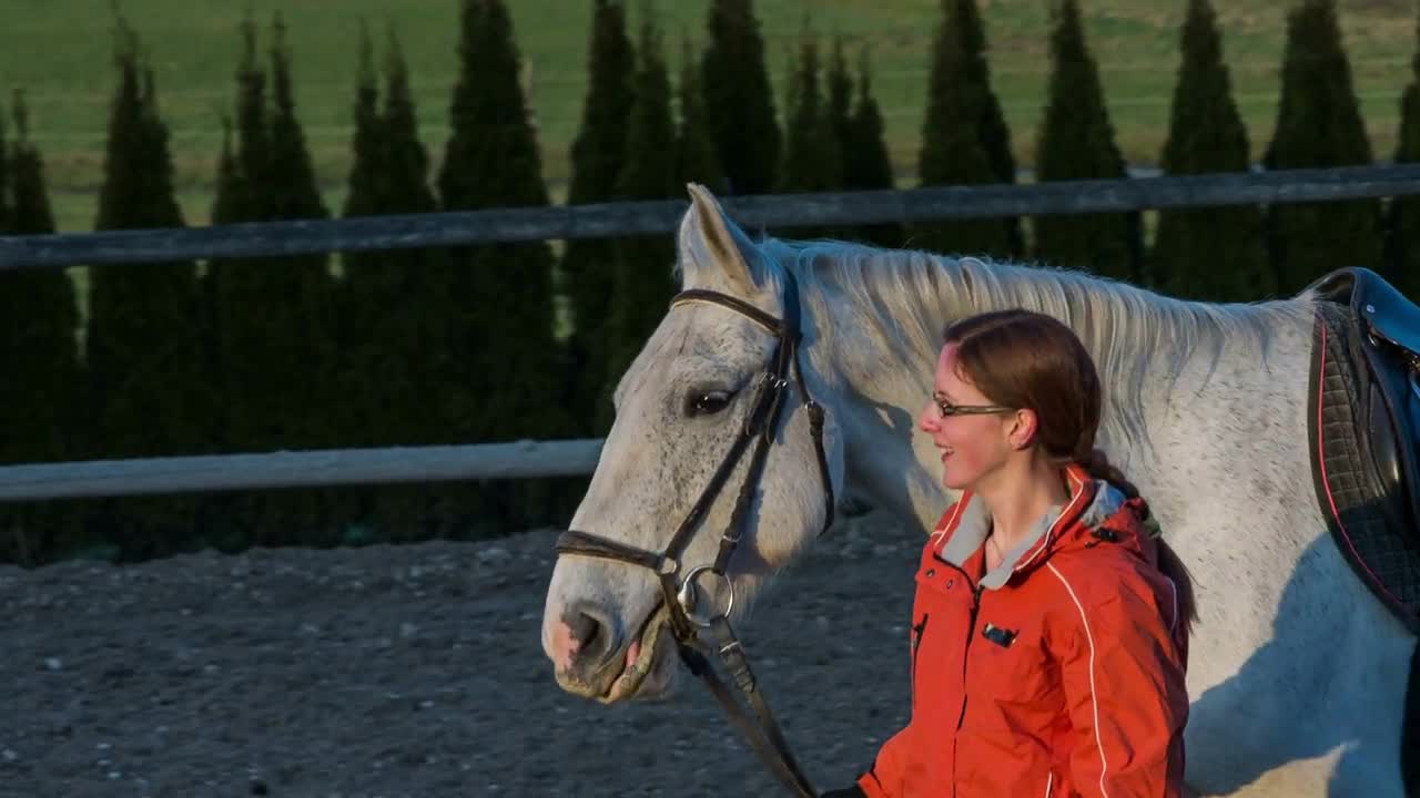 Girl walk beside horse after dressage